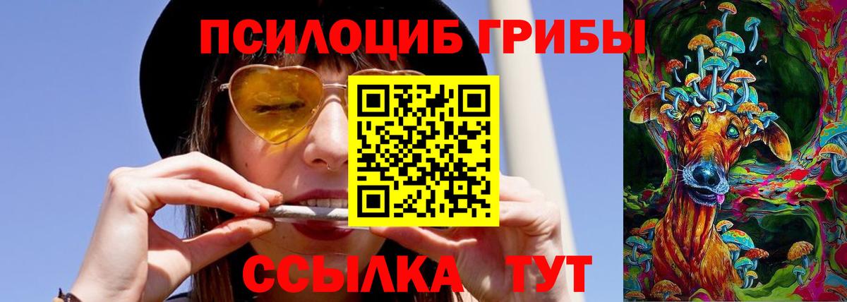 Псилоцибиновые грибы Cubensis  Вход с VPN  Галлюциногенные грибы Psilocybe  Псков 