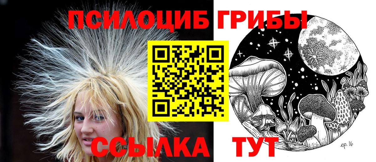 Галлюциногенные грибы мицелий Псков